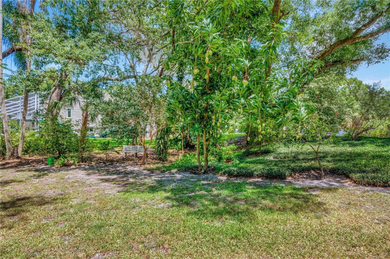 11526 River Country Drive, Riverview, FL 33569 Photo