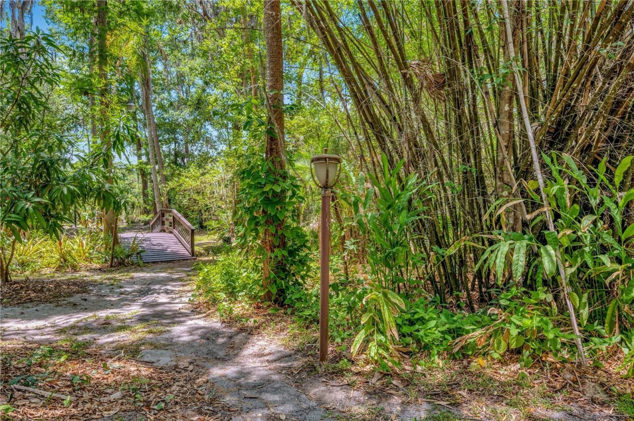 11526 River Country Drive, Riverview, FL 33569 Photo