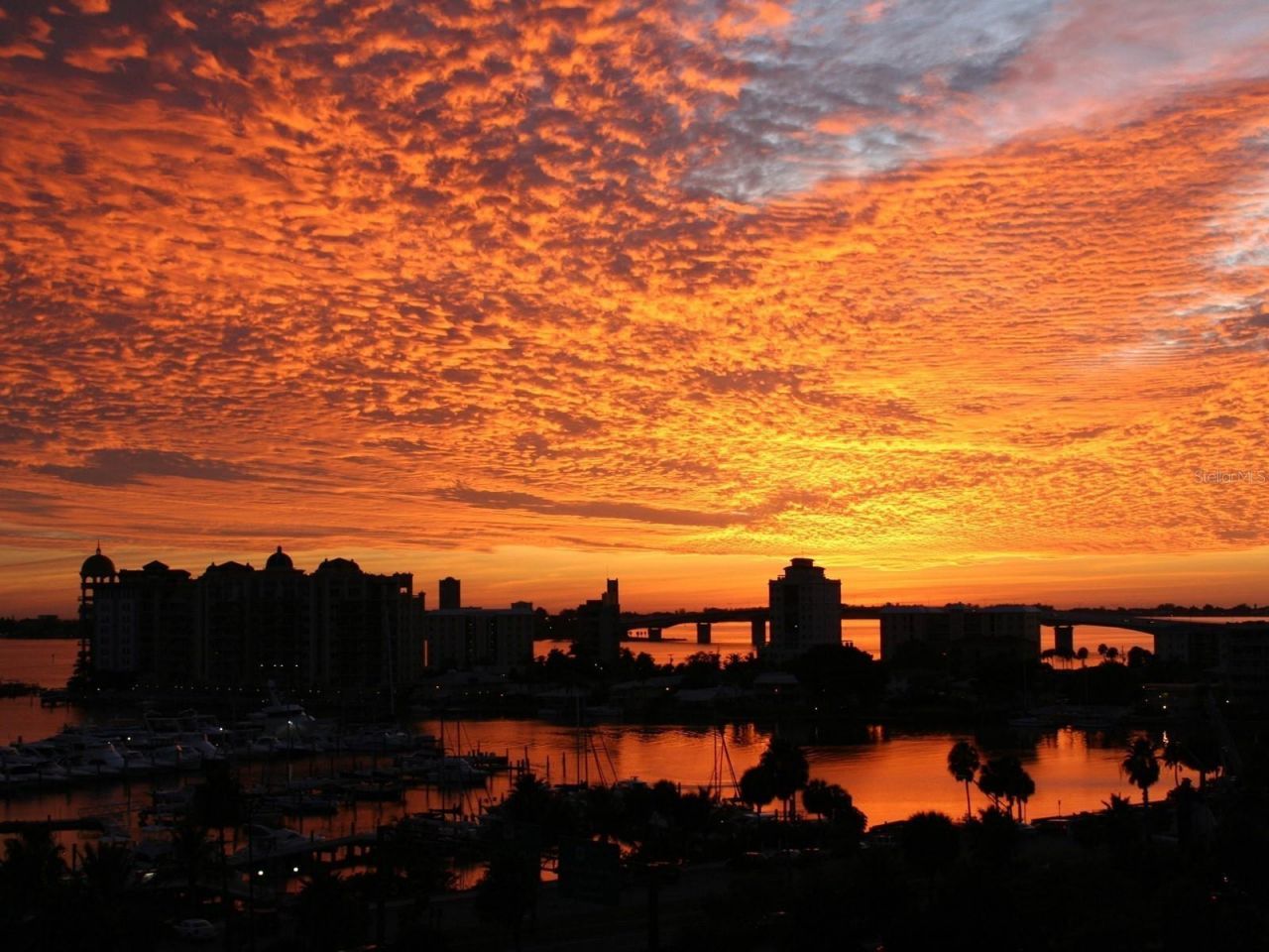 1255 N Gulfstream Avenue, Unit 204, Sarasota, FL 34236 Photo