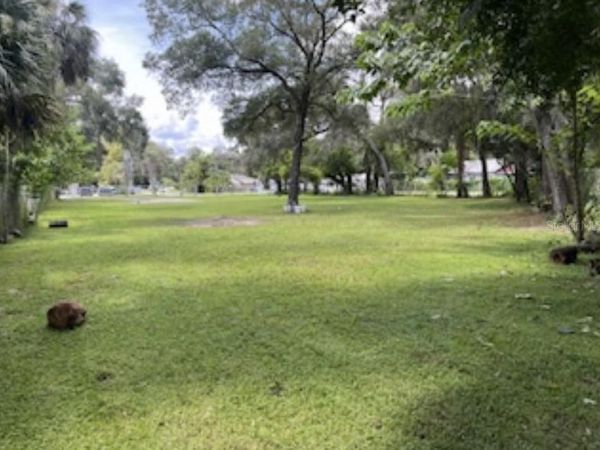 7321 EDGEWATER DRIVE, ORLANDO, FL 32810