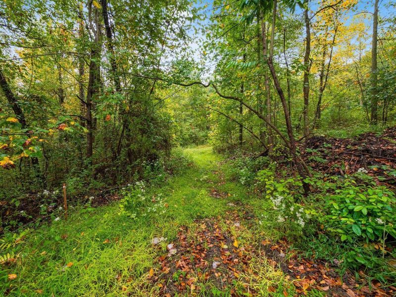 10355 Snortin Ridge Road SW, Lancaster, OH 43130 Photo 19