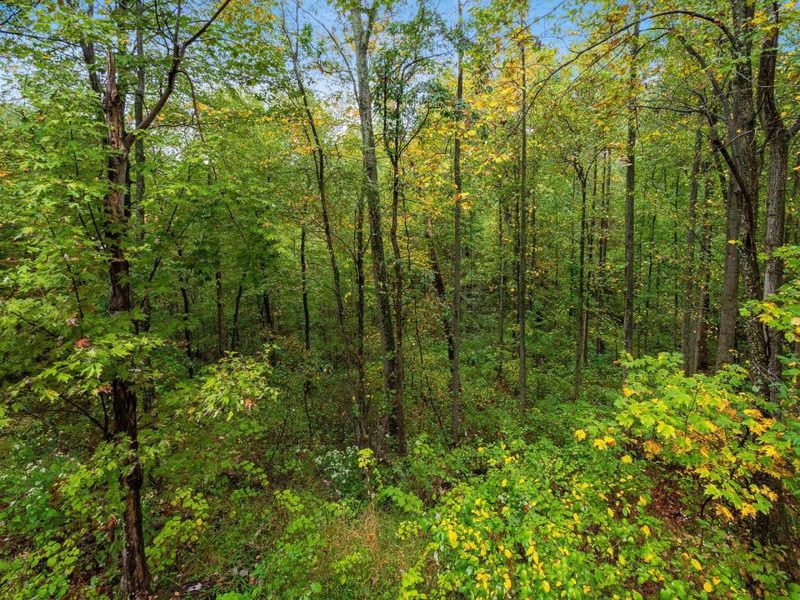 10355 Snortin Ridge Road SW, Lancaster, OH 43130 Photo 8