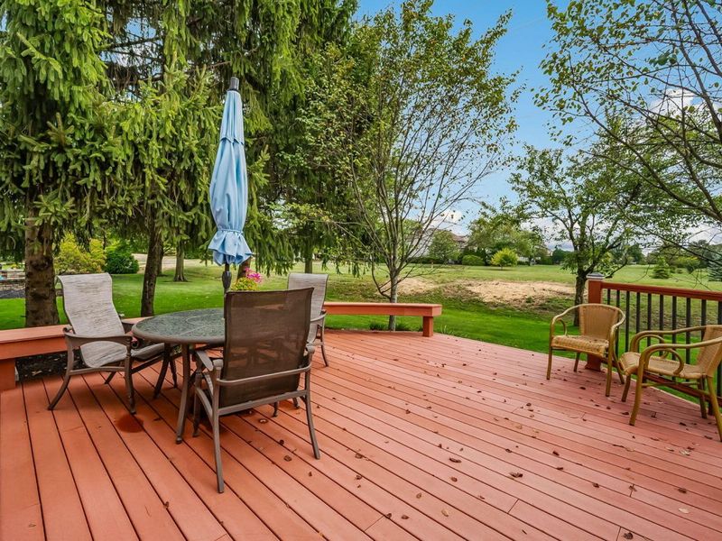 9529 Wayne Brown Drive, Powell, OH 43065 Photo 45