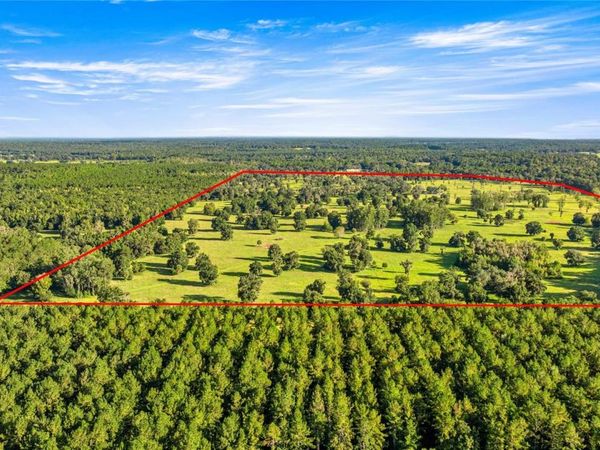 17748 N HWY 329, REDDICK, FL 32686