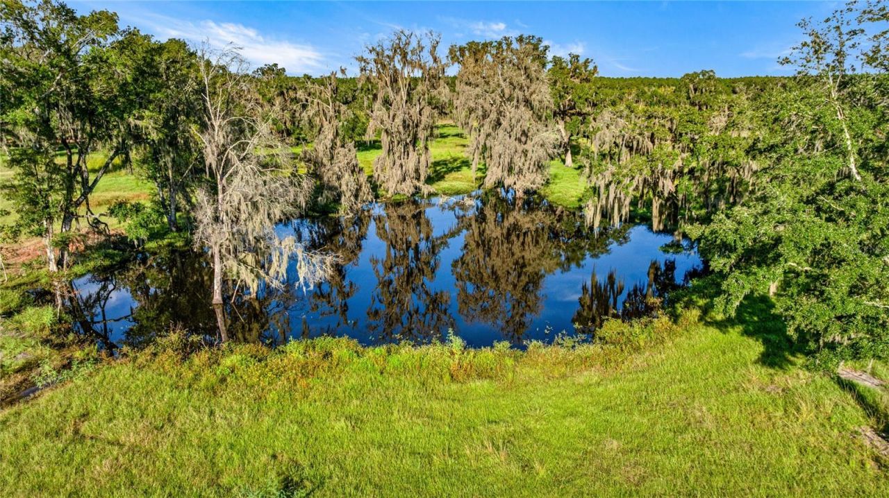 17748 N Hwy 329, Reddick, FL 32686 Photo