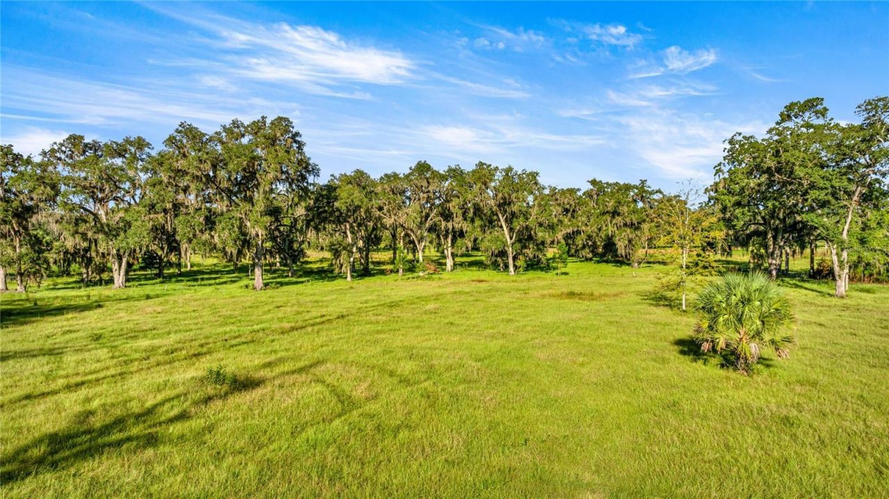 17748 N Hwy 329, Reddick, FL 32686 Photo