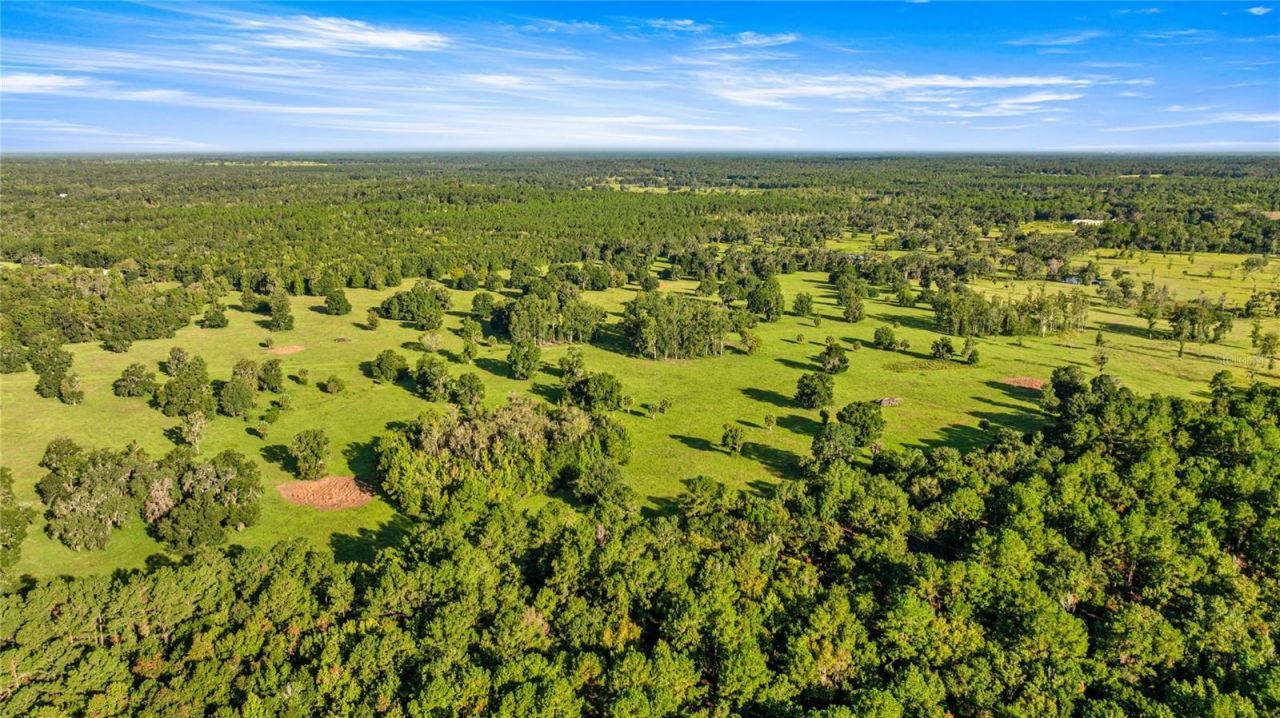 17748 N Hwy 329, Reddick, FL 32686 Photo