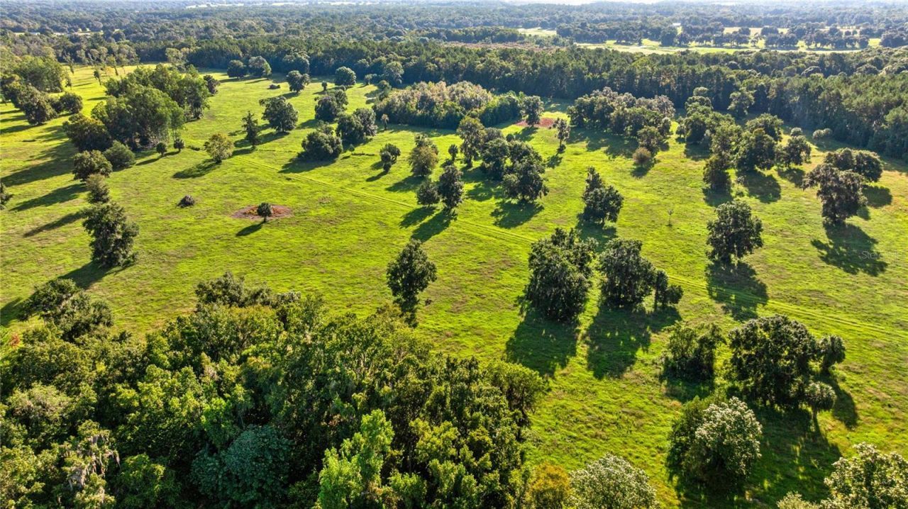 17748 N Hwy 329, Reddick, FL 32686 Photo