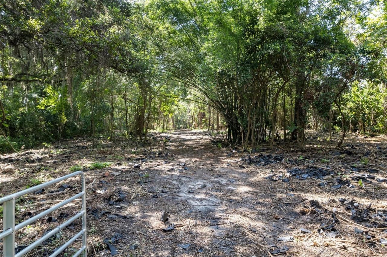 000 SW Archer Road, Gainesville, FL 32608 Photo