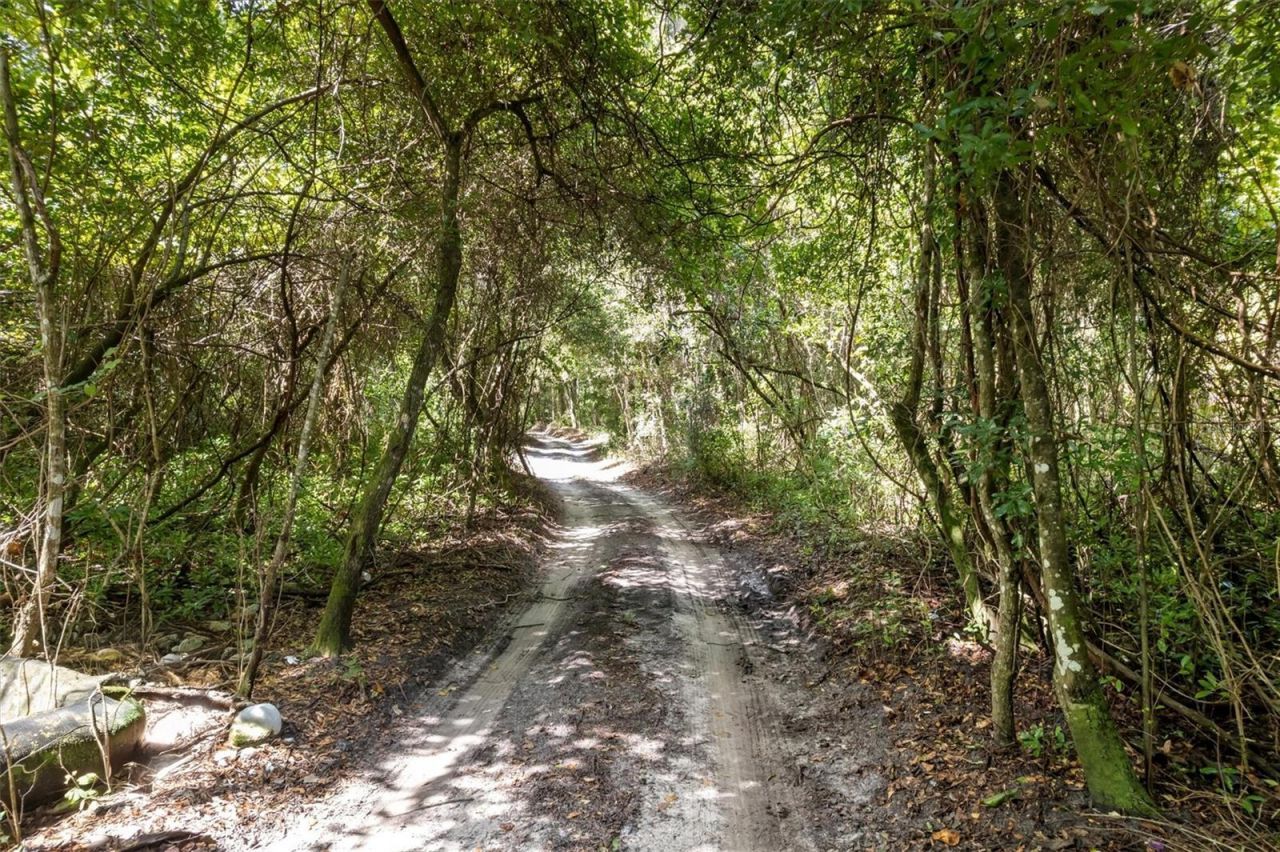 000 SW Archer Road, Gainesville, FL 32608 Photo