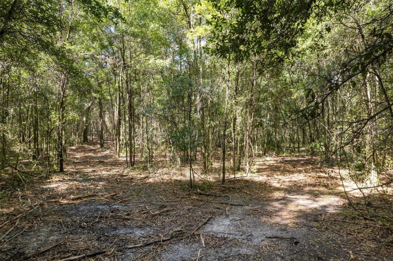 000 SW Archer Road, Gainesville, FL 32608 Photo