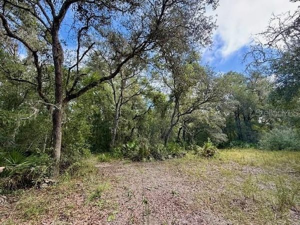 0 GRESHAM ROAD, WEBSTER, FL 33597