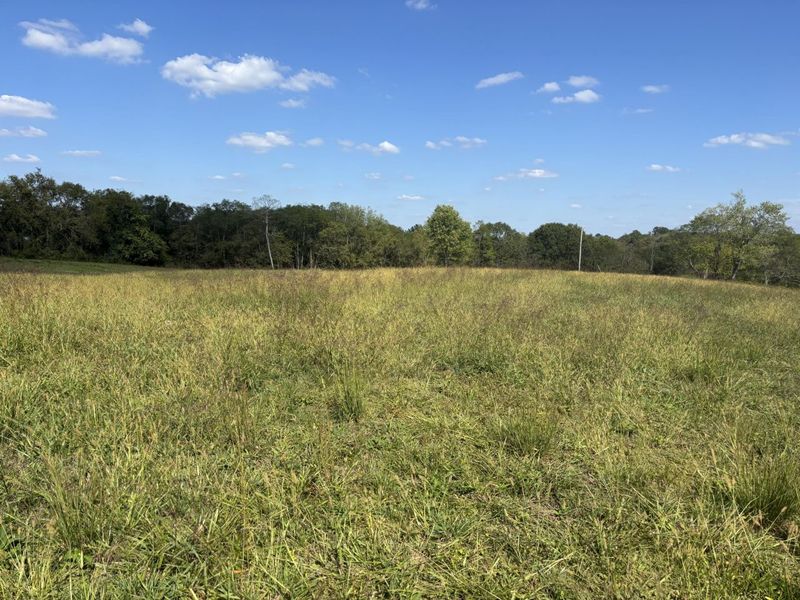 0 1316 HWY, Unit Tract I, Sparta, KY 41086 Photo 1