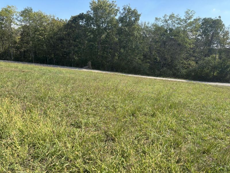 0 1316 HWY, Unit Tract I, Sparta, KY 41086 Photo 3