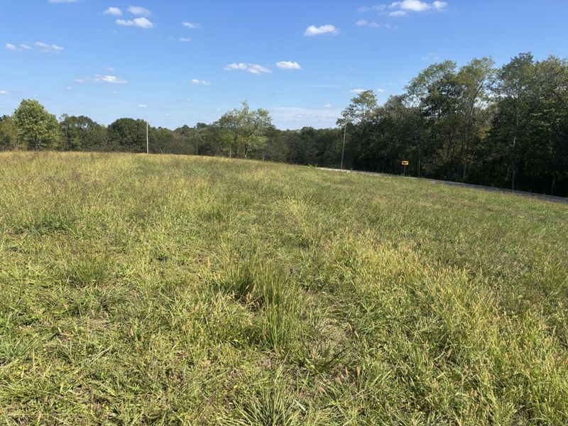 0 1316 HWY, Unit Tract I, Sparta, KY 41086 Photo 4