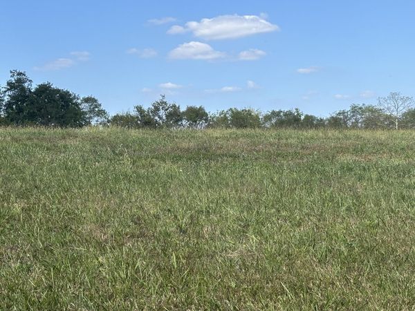 0 1316 HWY, Unit Tract H, Sparta, KY 41086