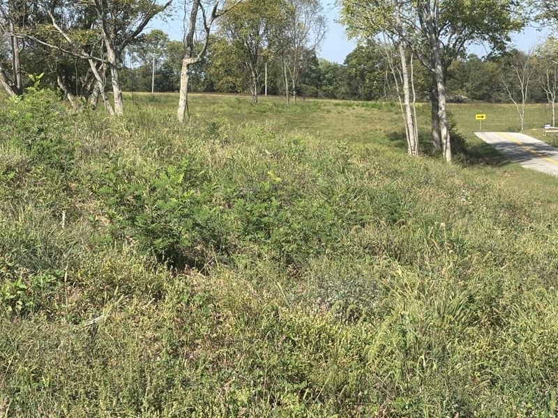 0 1316 HWY, Unit Tract H, Sparta, KY 41086 Photo 2