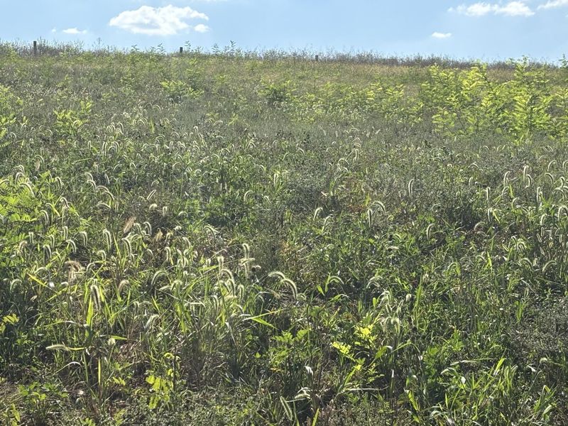 0 1316 HWY, Unit Tract H, Sparta, KY 41086 Photo 3