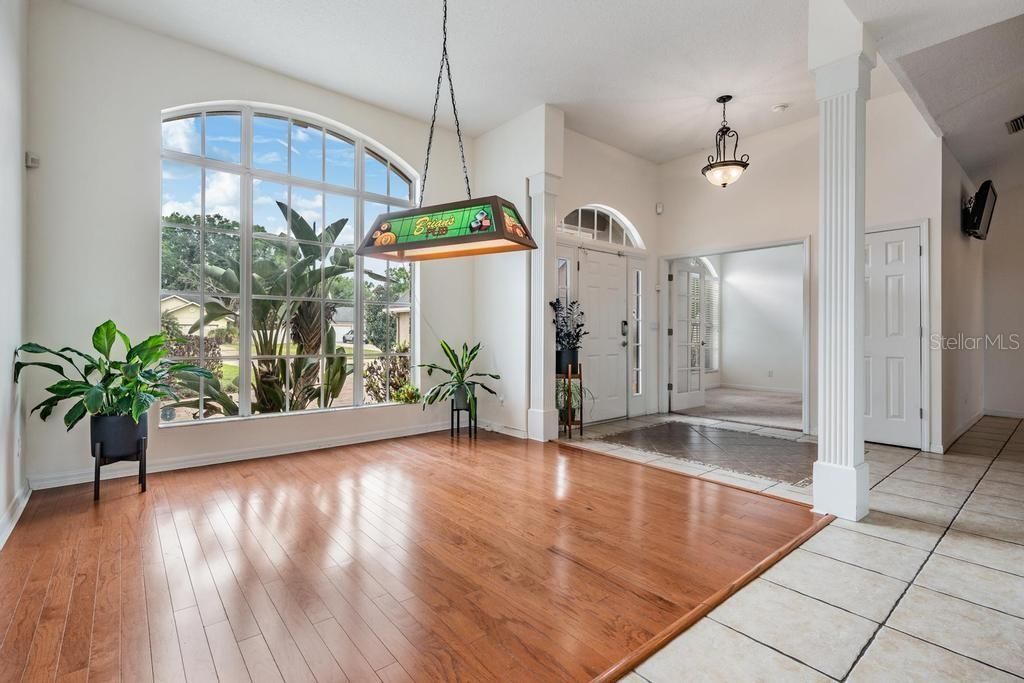 22519 Southshore Drive, Land O Lakes, FL 34639 Photo