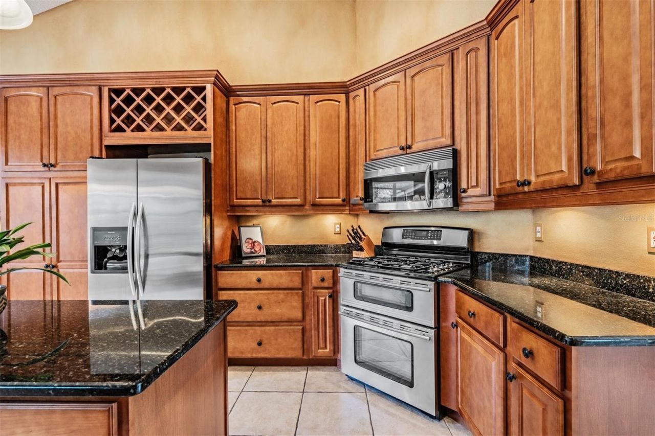 22519 Southshore Drive, Land O Lakes, FL 34639 Photo