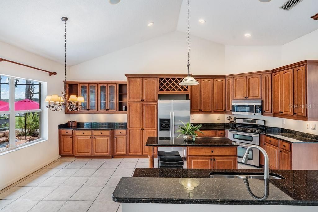 22519 Southshore Drive, Land O Lakes, FL 34639 Photo