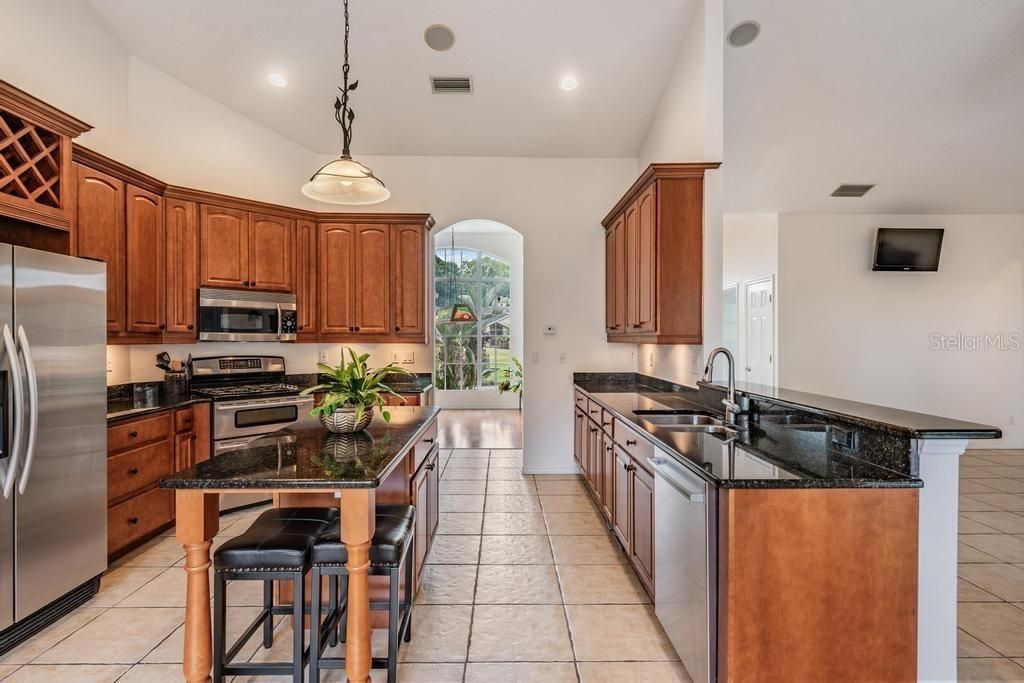 22519 Southshore Drive, Land O Lakes, FL 34639 Photo