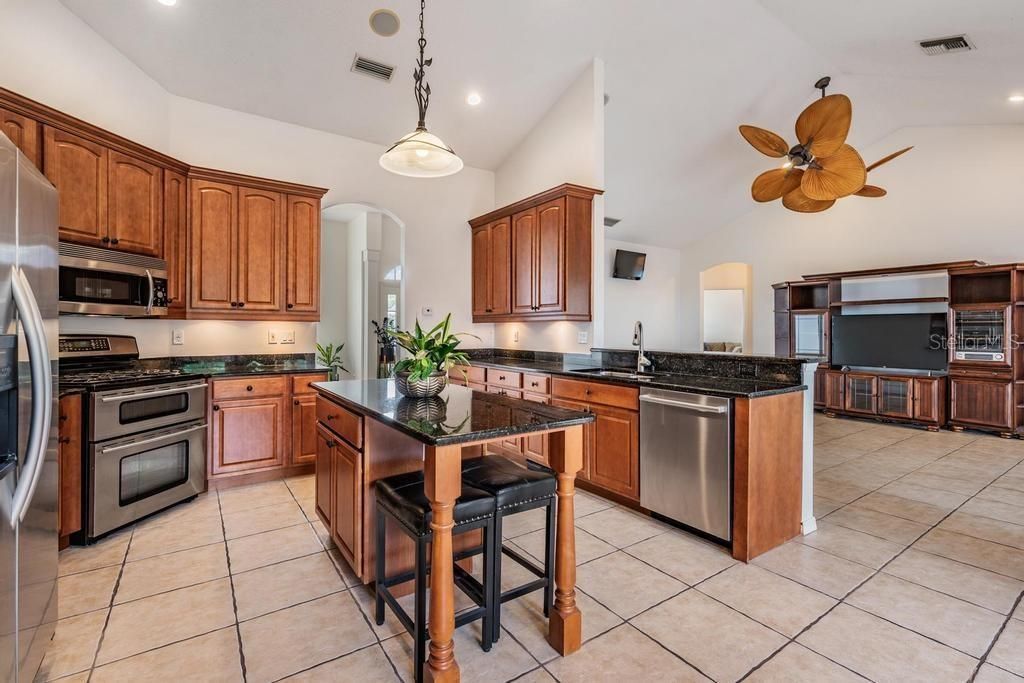 22519 Southshore Drive, Land O Lakes, FL 34639 Photo