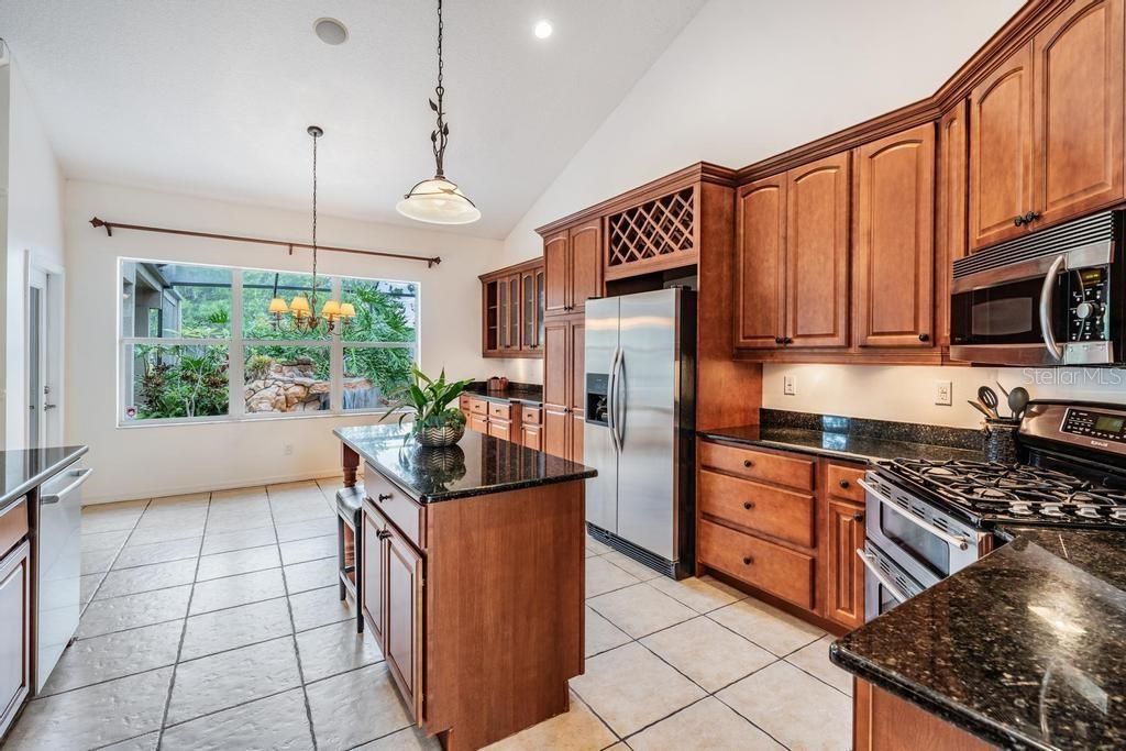 22519 Southshore Drive, Land O Lakes, FL 34639 Photo