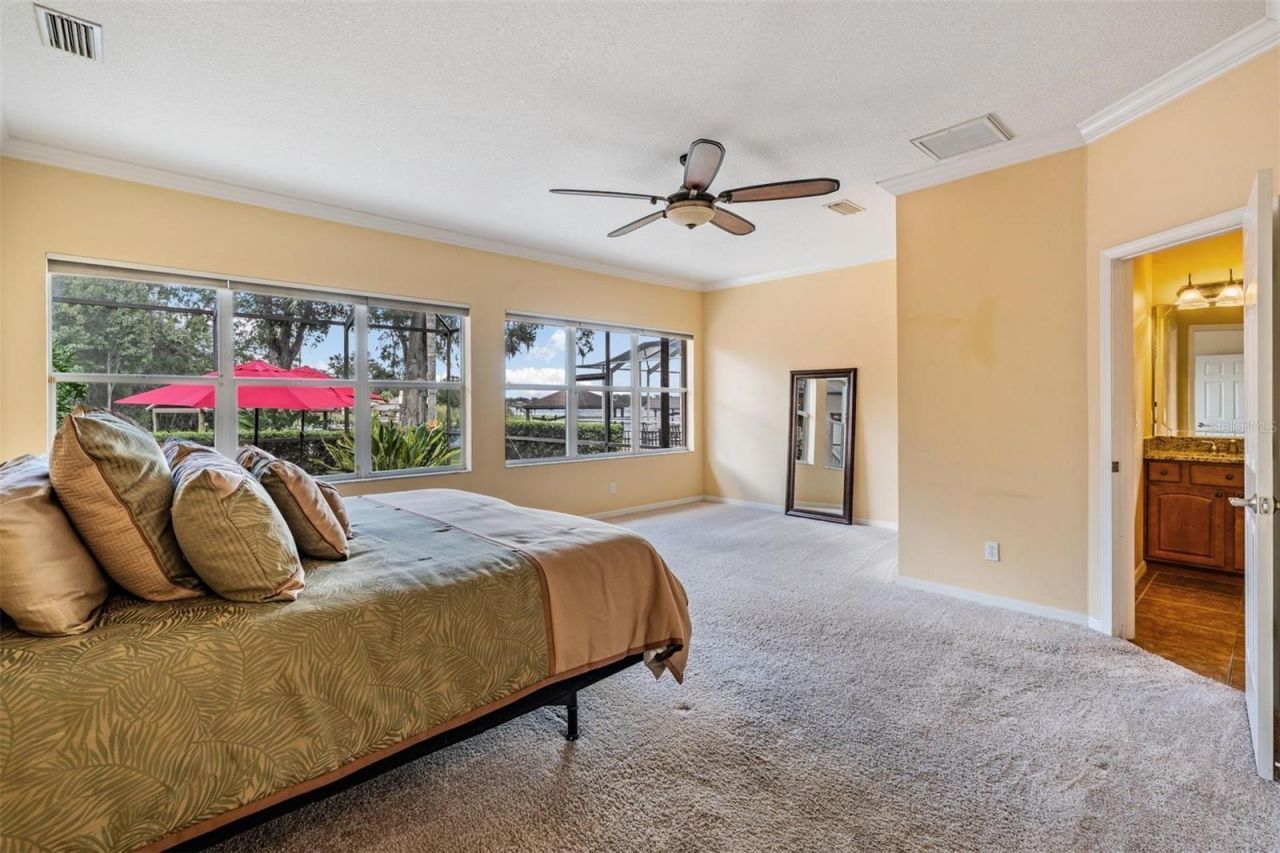 22519 Southshore Drive, Land O Lakes, FL 34639 Photo