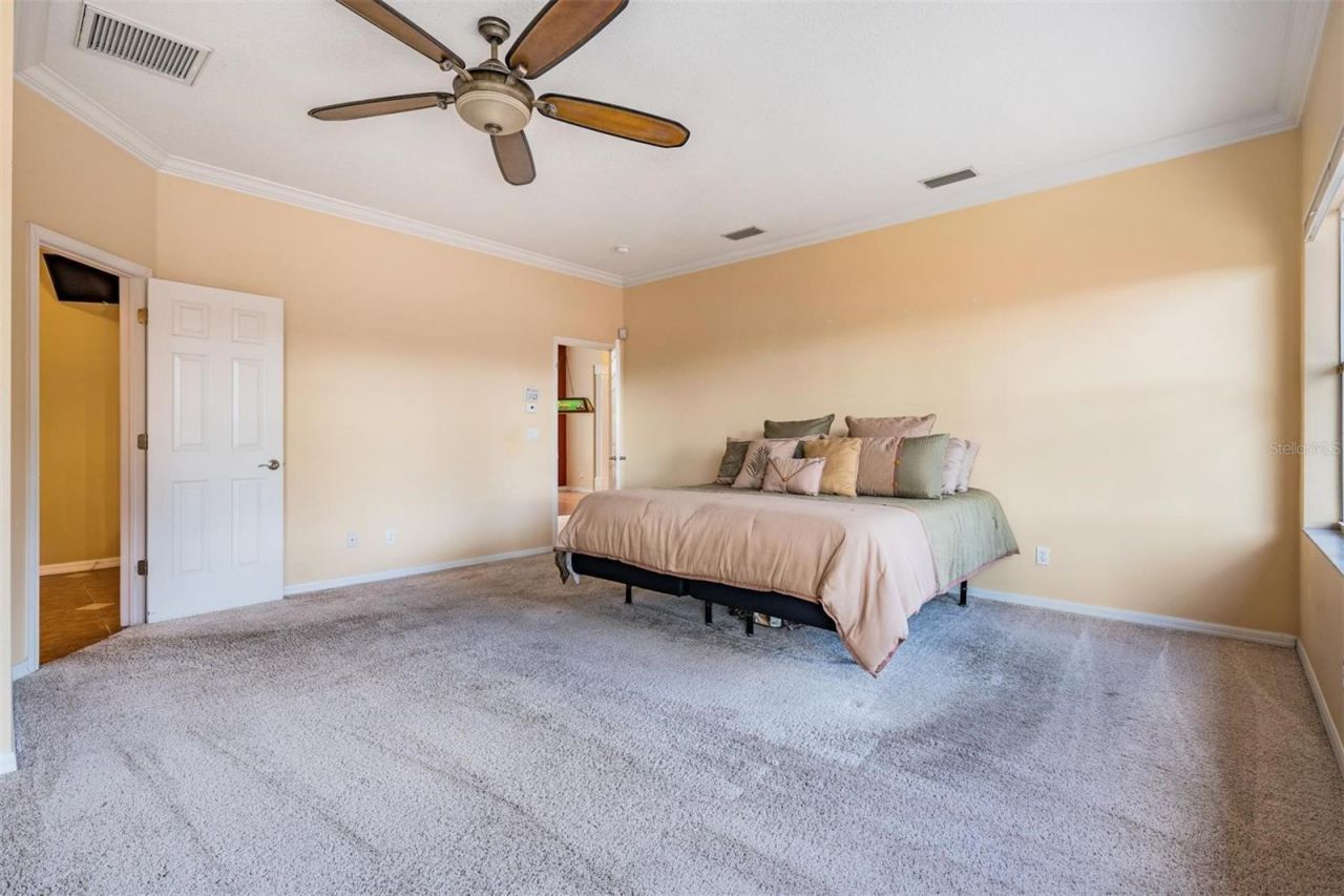 22519 Southshore Drive, Land O Lakes, FL 34639 Photo