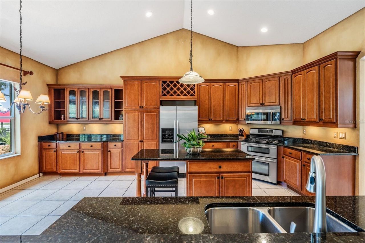 22519 Southshore Drive, Land O Lakes, FL 34639 Photo