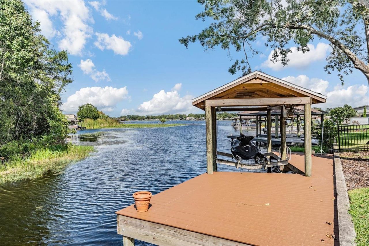 22519 Southshore Drive, Land O Lakes, FL 34639 Photo