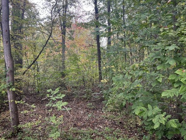 V/L Riverdale Rd, Whitmore Lake, MI 48189