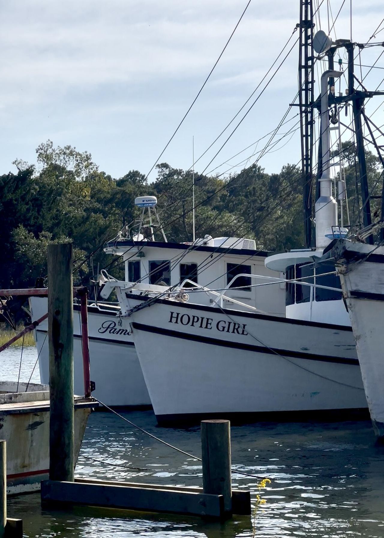 210 Cassena Street Photo 51