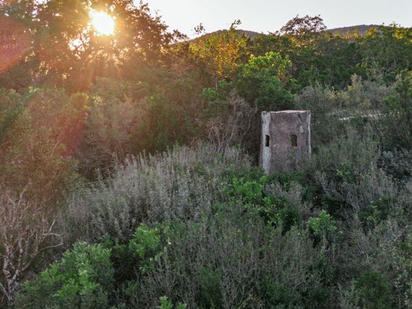 2581 Patterson Creek Road, Leakey, TX 78873