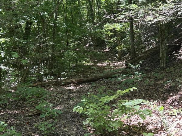 Lower Powdermill Rd, Sevierville, TN 37876