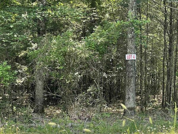 Lot 4 Pleasant Ridge Road, Greers Ferry, AR 72067