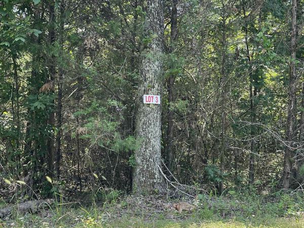 Lot 3 Pleasant Ridge Road, Greers Ferry, AR 72067