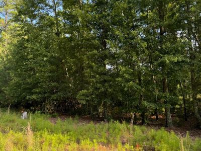 1042 Millies Way Drive, Moncks Corner, SC 29461