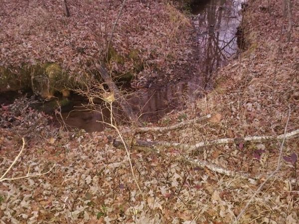 0 Indian Trl , Monterey, TN 38574