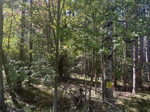 6195 110th Avenue, Stanwood, MI 49346