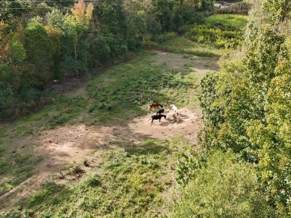 184 Peaceful Place Rd, Caddo Gap, AR 71935