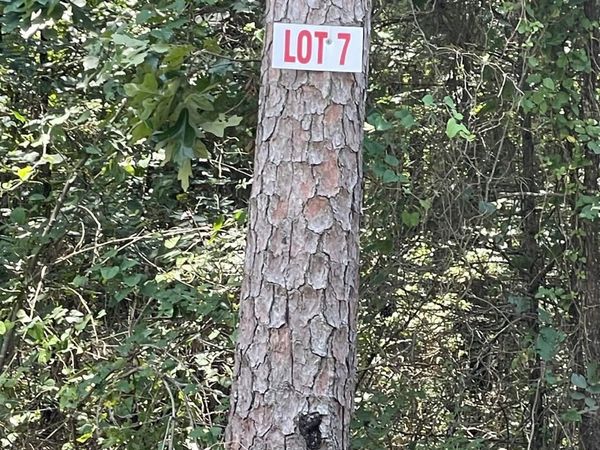 Lot 7 Pleasant Ridge Road, Greers Ferry, AR 72067