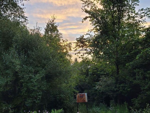 00 Sarsi Cove, Evart, MI 49631