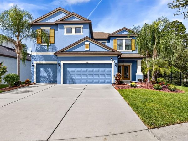 11303 LAZY HICKORY LANE, TAMPA, FL 33635