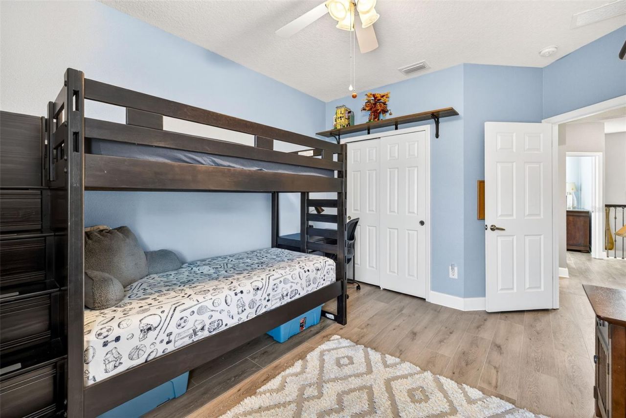 11303 Lazy Hickory Lane, Tampa, FL 33635 Photo