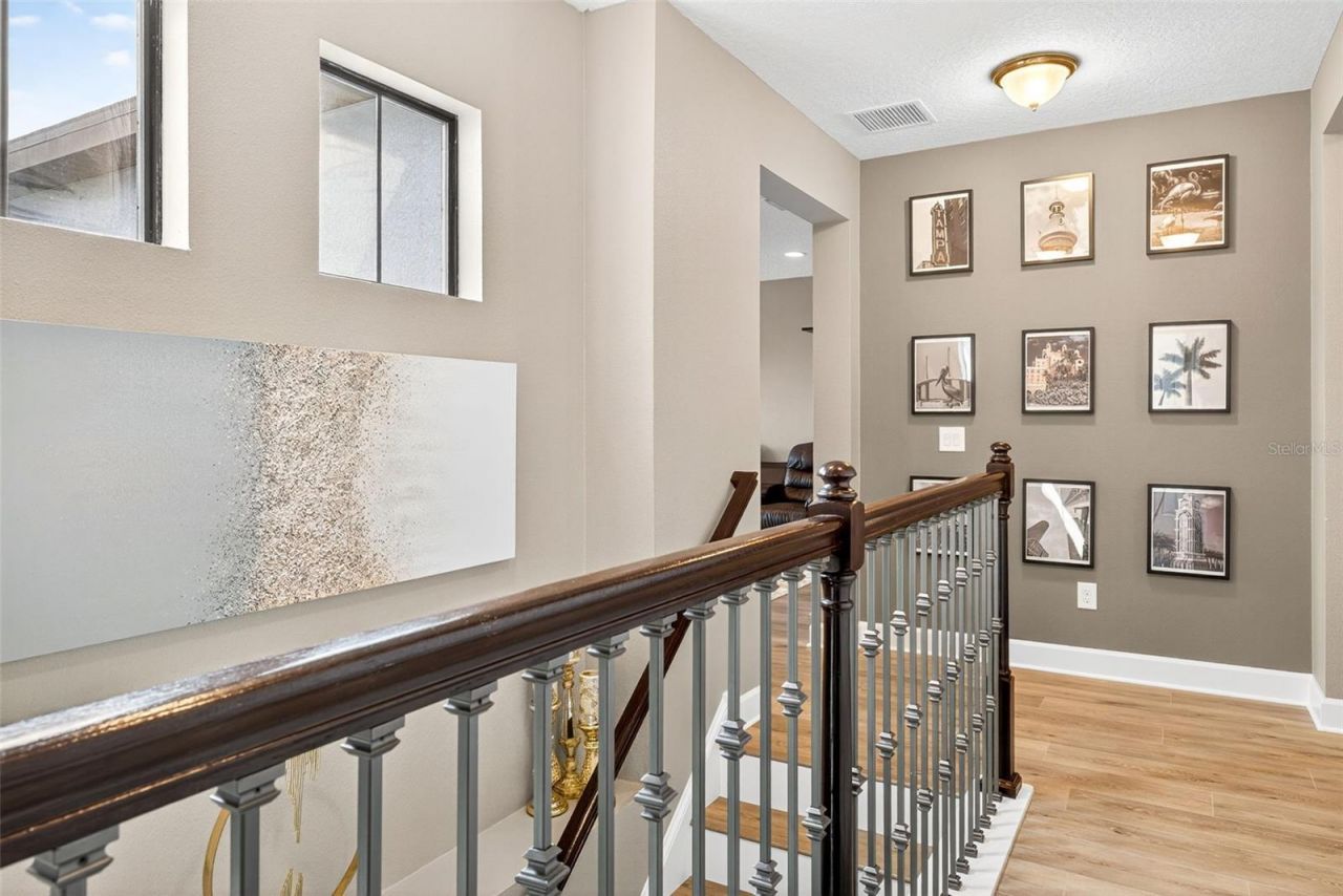 11303 Lazy Hickory Lane, Tampa, FL 33635 Photo