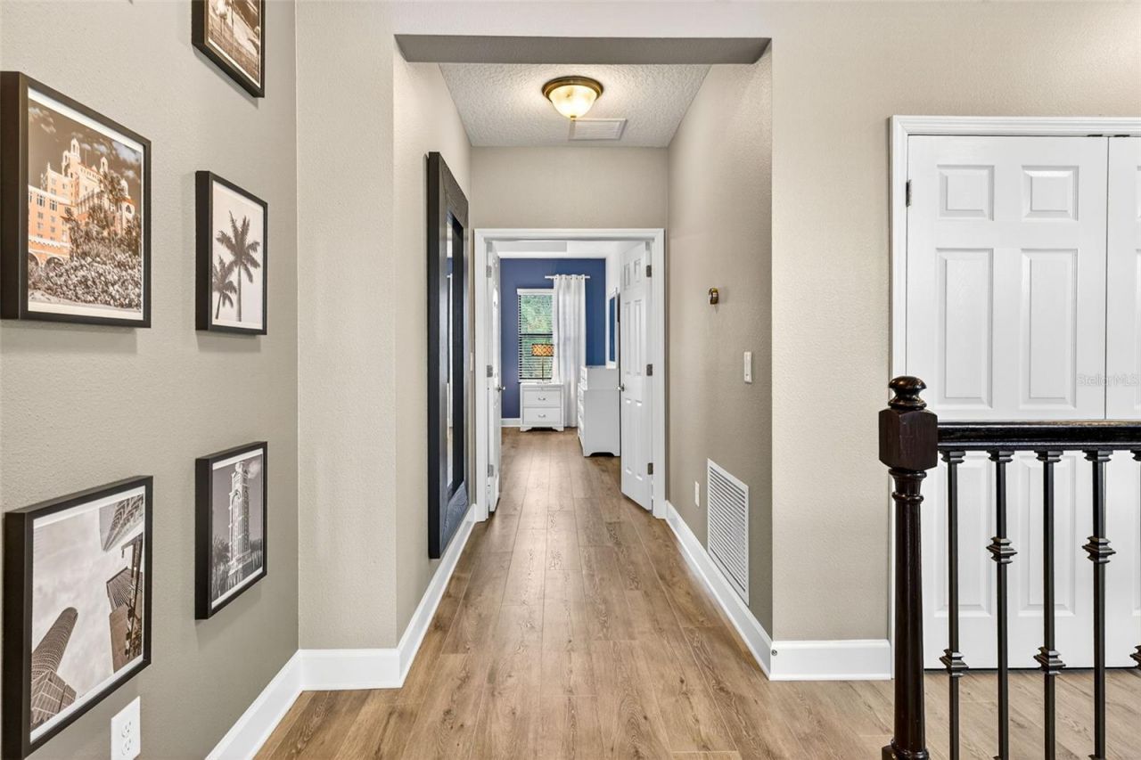 11303 Lazy Hickory Lane, Tampa, FL 33635 Photo