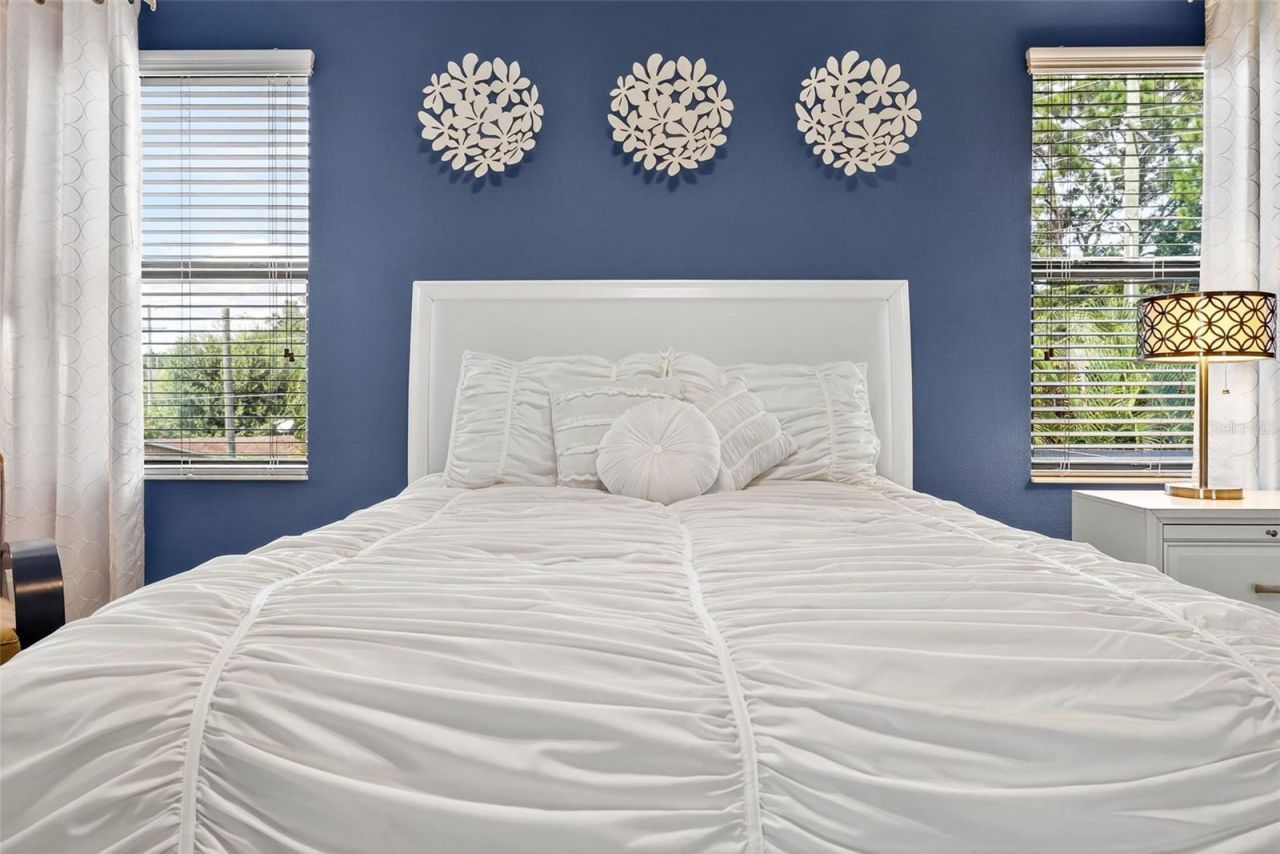 11303 Lazy Hickory Lane, Tampa, FL 33635 Photo