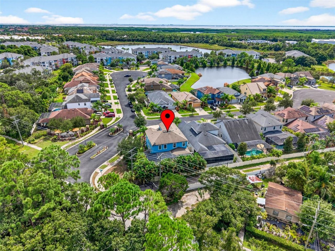 11303 Lazy Hickory Lane, Tampa, FL 33635 Photo